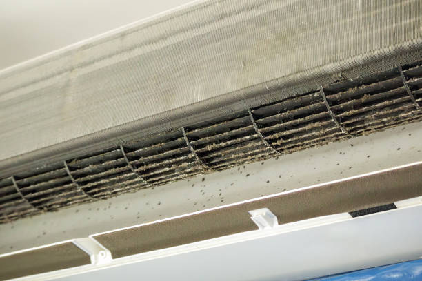 Home Air Vent Cleaning in Escanaba, MI